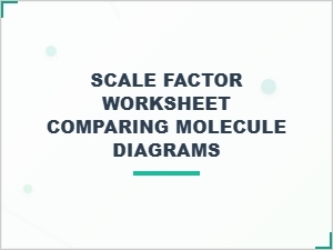 Molecules to Maps: Scaling Principles Across Domains